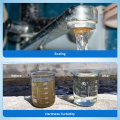 Ionix 0 Maintenance cost for 5 years ,Fit and Forget model, 3 Stage Clear Pro Automatic, Years ahead in Innovation , Perfect Tank filter for your Home (SS-304)