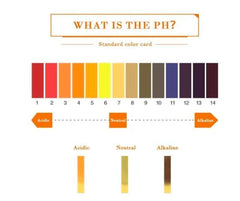 Ionix Ph Testing Strips  - Full pH 1-14 Test Indicator Litmus Paper